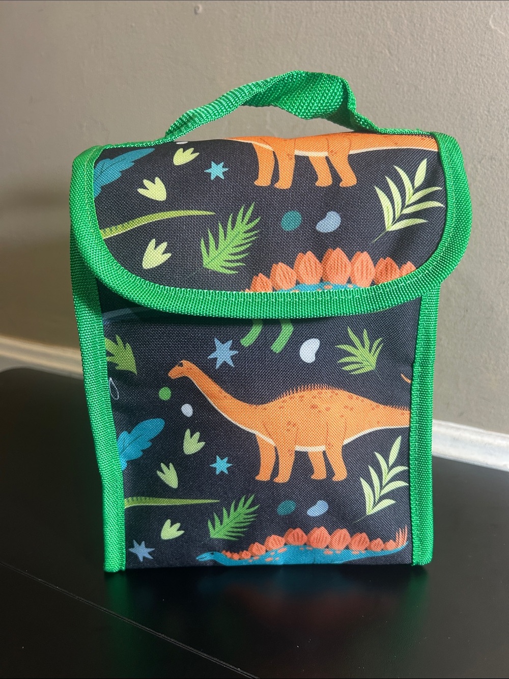 Dinosaur Print Kids Insulated Lunch Bag Dinosaur Friends New. 10”x7”